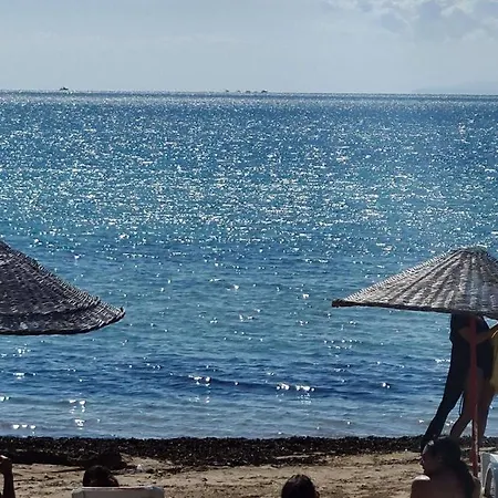 公寓 Luxury Blue Marin 4 Apartment - Altinkum-Didim 迪迪姆